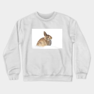 Eastern Cottontail Crewneck Sweatshirt